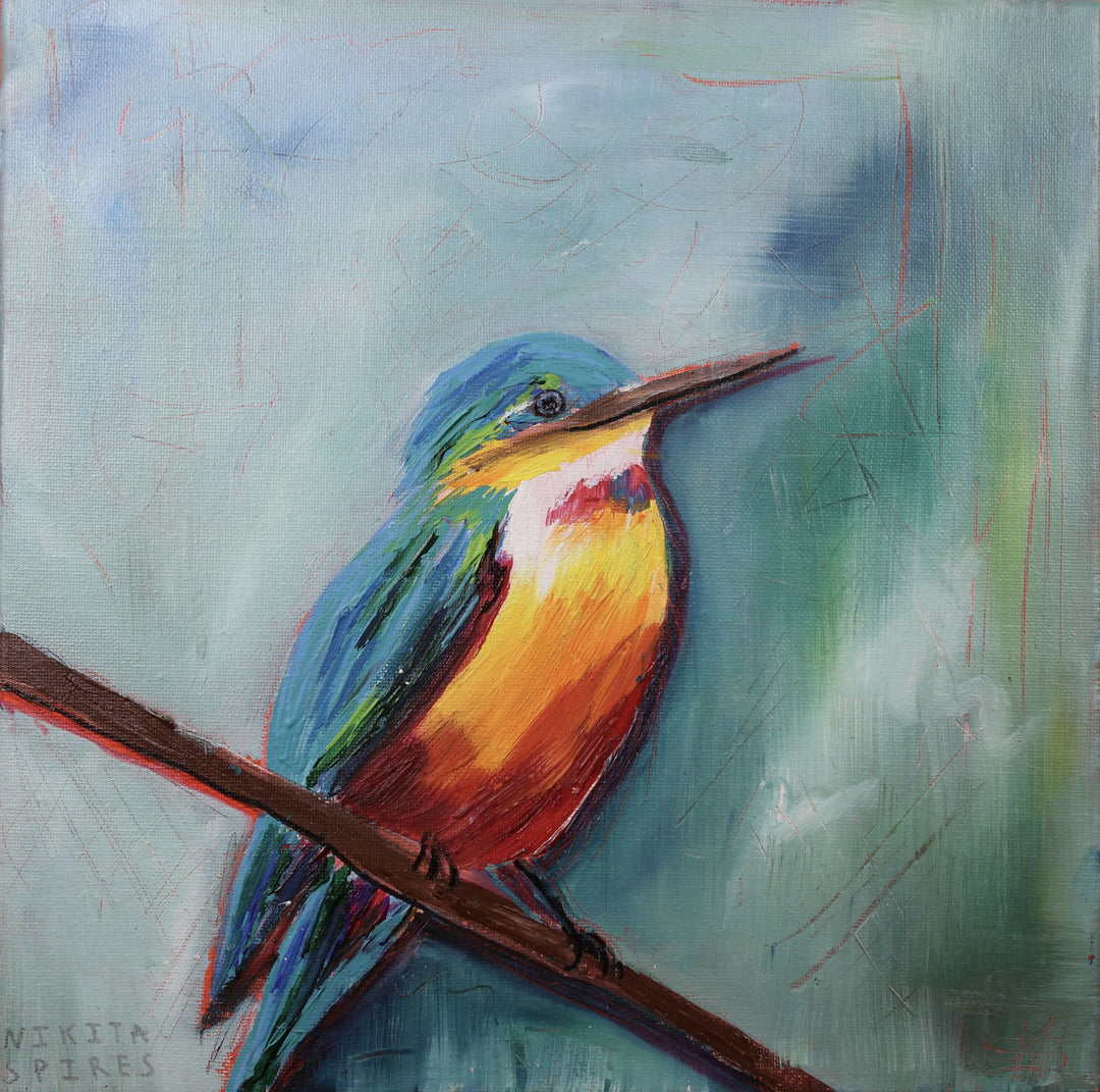 Flash of Colour