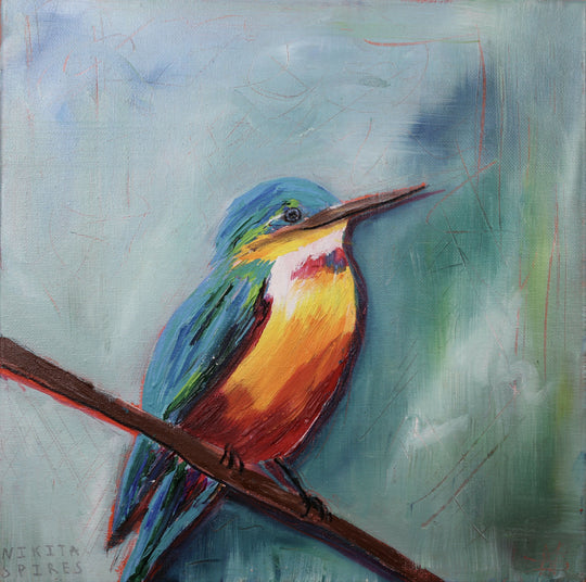 Flash of Colour