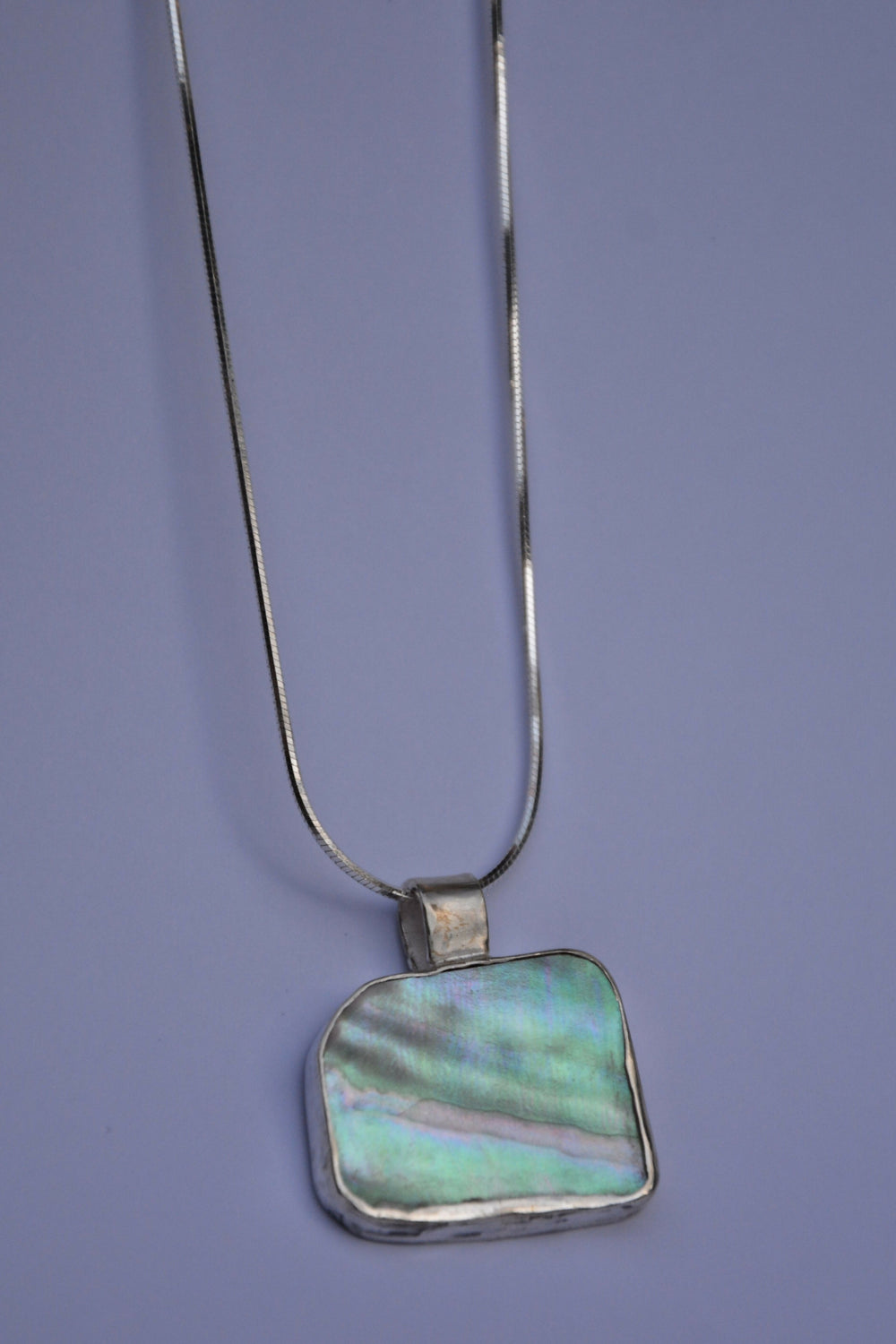 Abalone Necklace 4