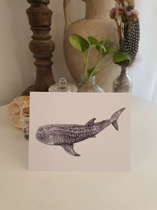 Whaleshark | Blank Greeting Card