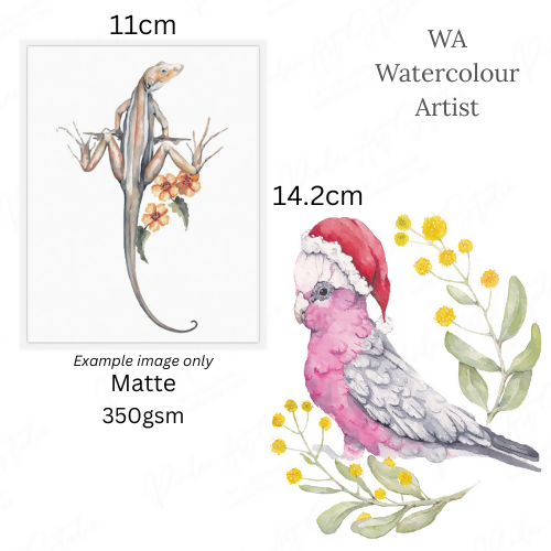 Christmas Galah &amp; Wattle | Blank Greeting Card