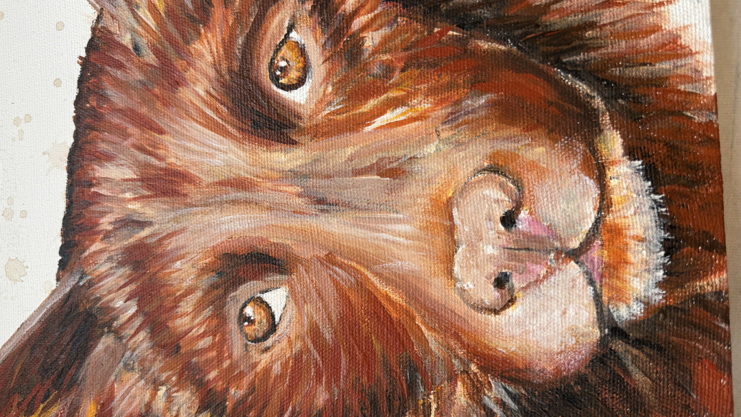 Red Dog