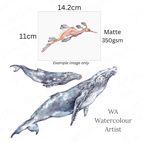 Humpback Whale | Blank Greeting Card
