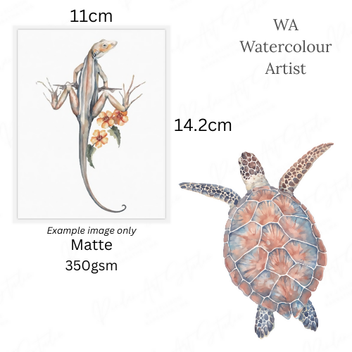 Turtle | Blank Greeting Card