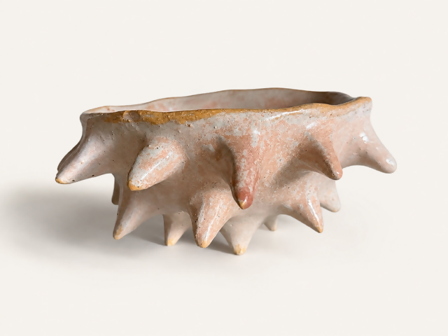 Sea Urchin Bowl