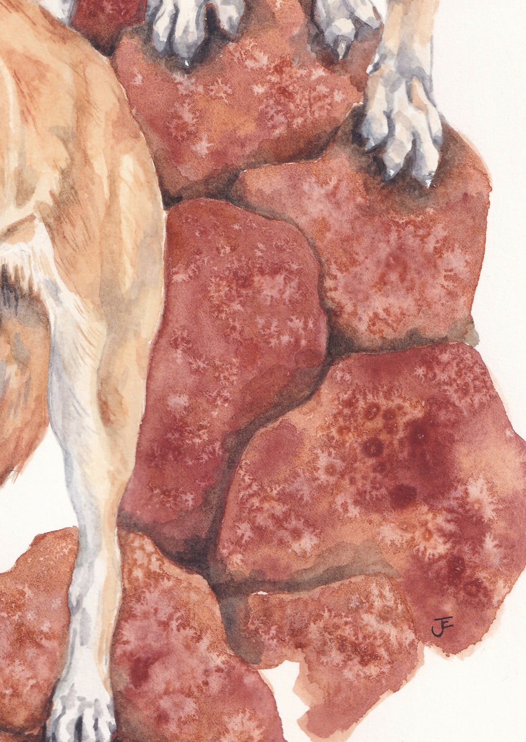 Dingo Rock | Watercolour Painting