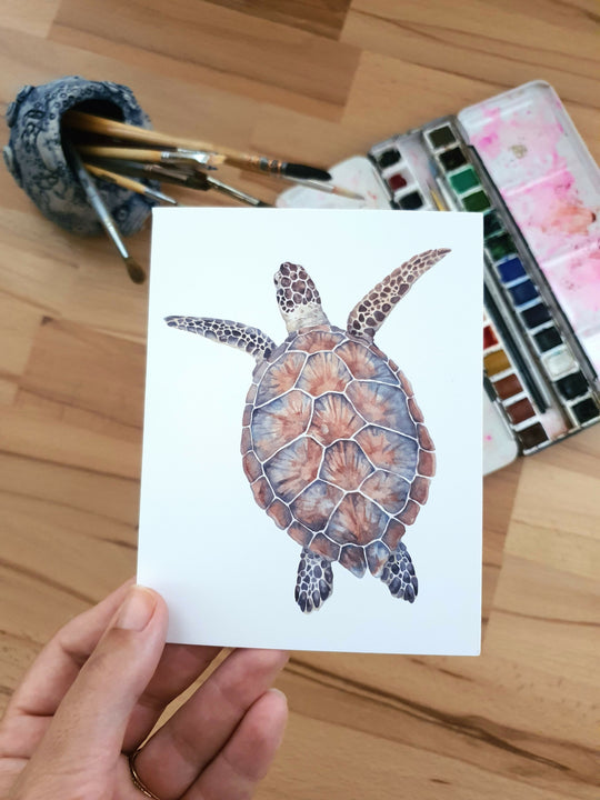 Turtle | Blank Greeting Card