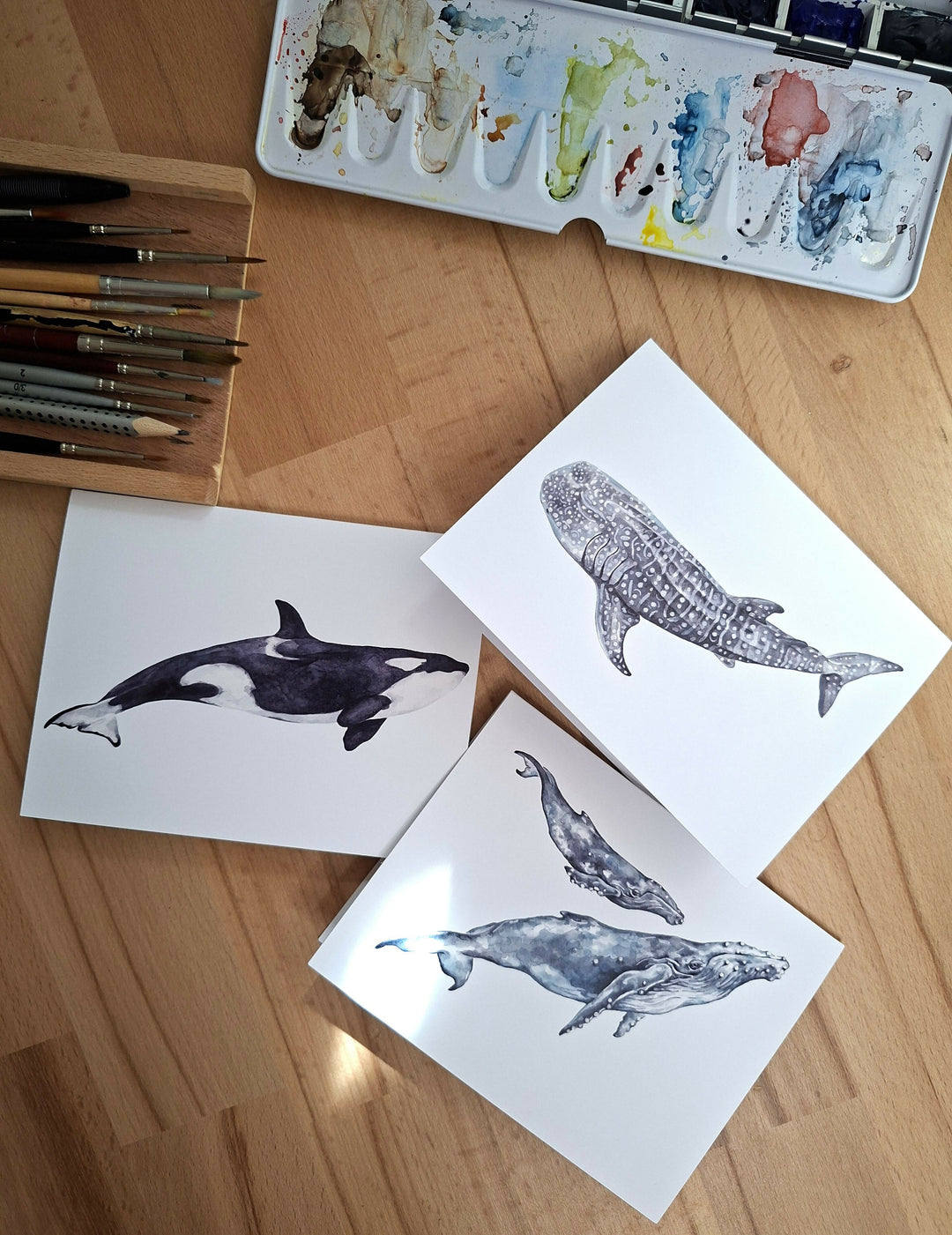 Whale Greeting Card Pack | 3x