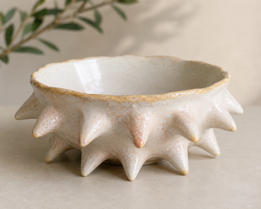 Sea Urchin Bowl