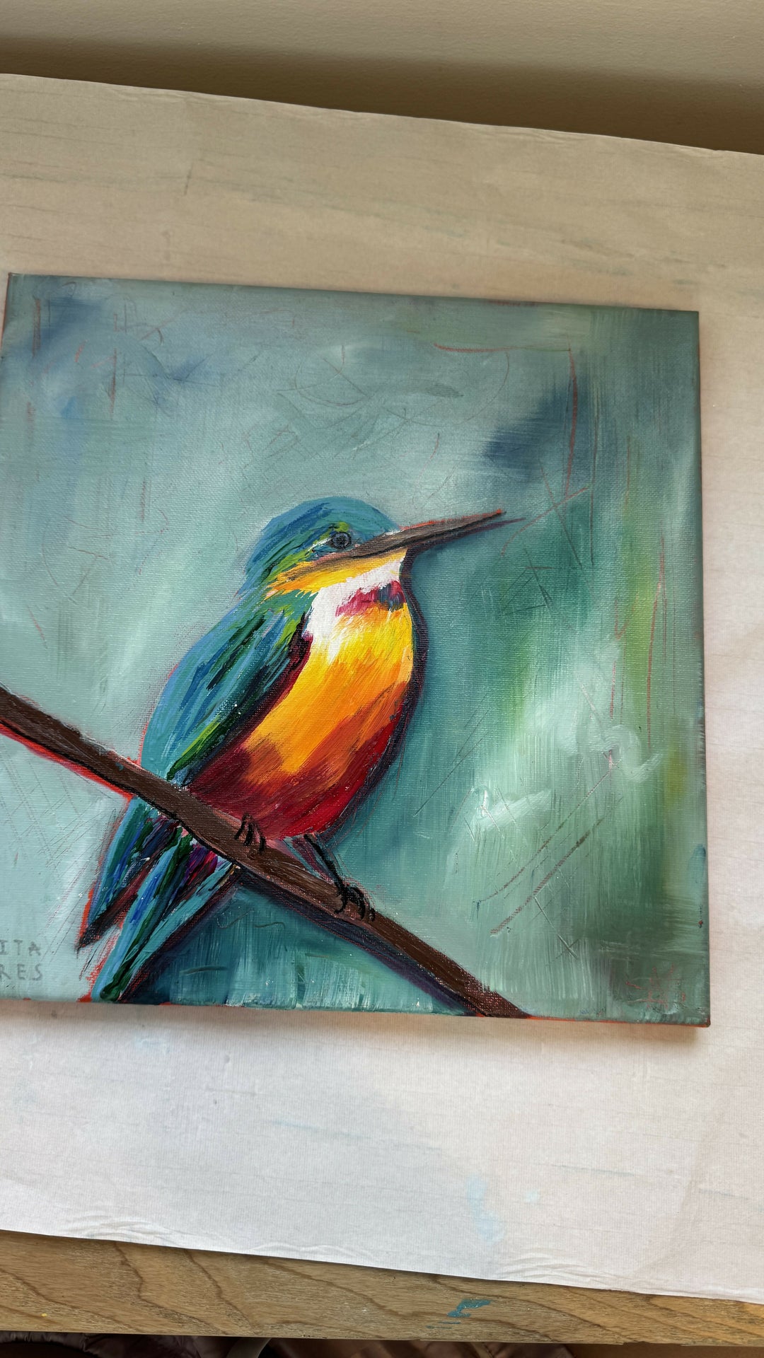 Flash of Colour