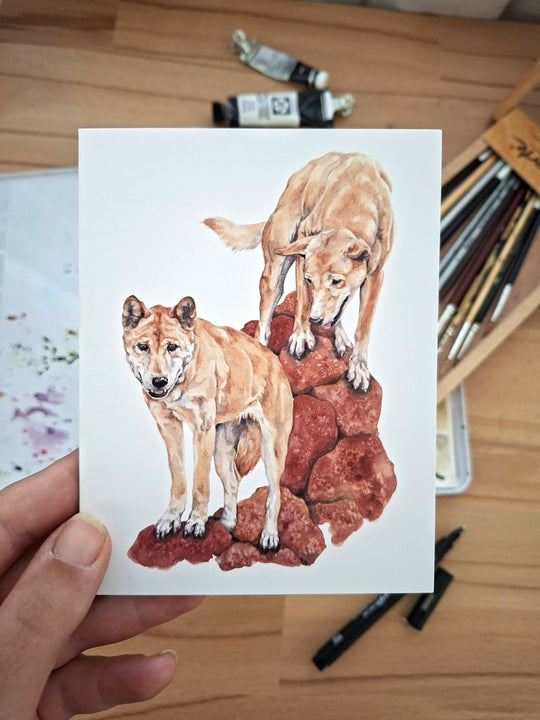 Pilbara Specials Greeting Card Pack | 3x Cards