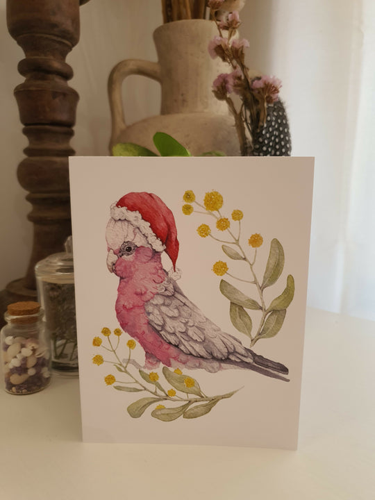 Christmas Galah &amp; Wattle | Blank Greeting Card