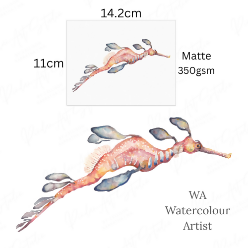 Seahorse | Blank Greeting Card