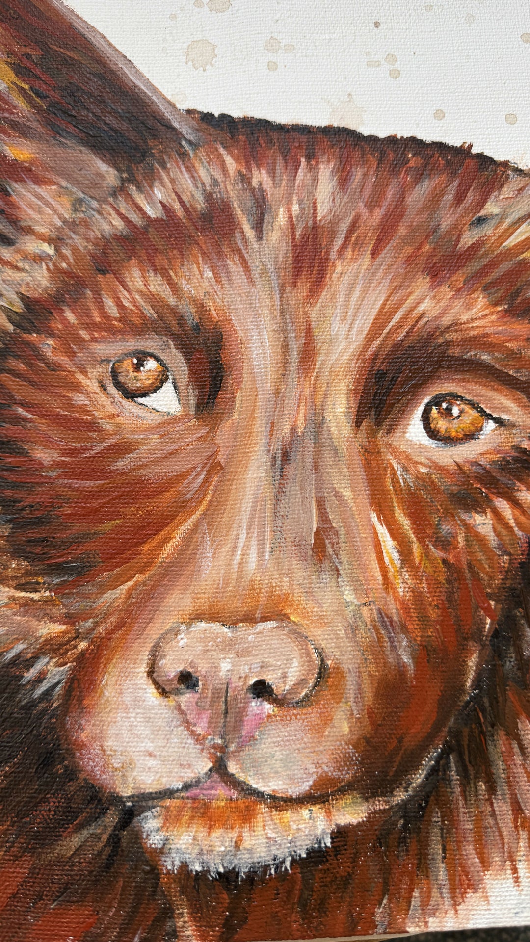 Red Dog