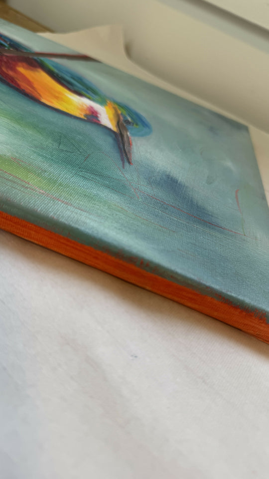 Flash of Colour