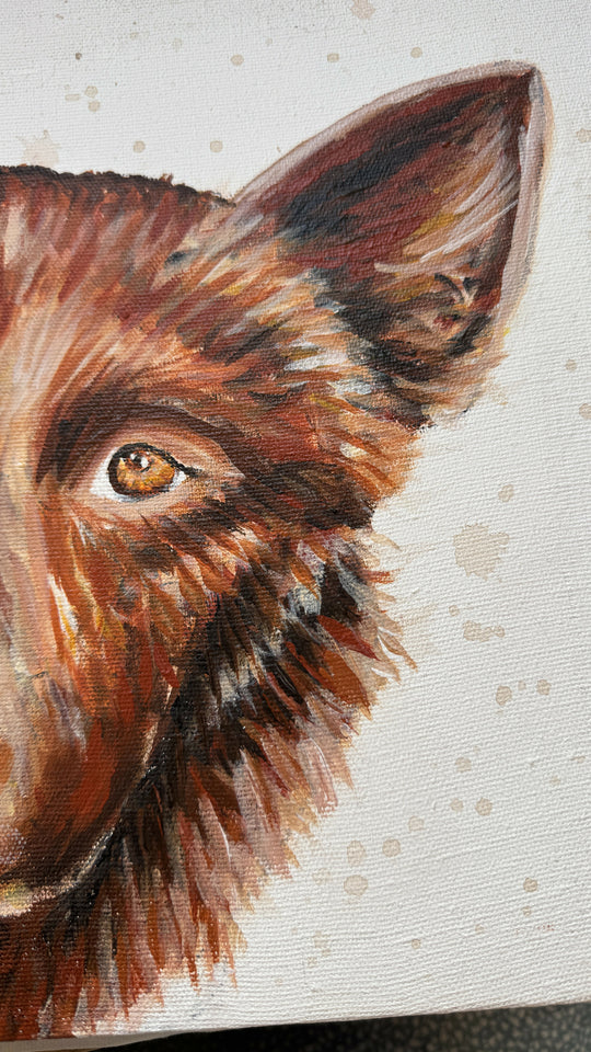 Red Dog