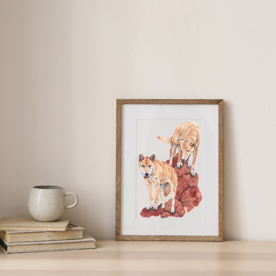 Dingo Rock | Watercolour Painting