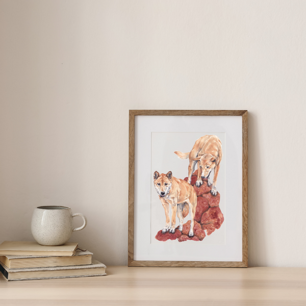 Dingo Rock | Watercolour Painting
