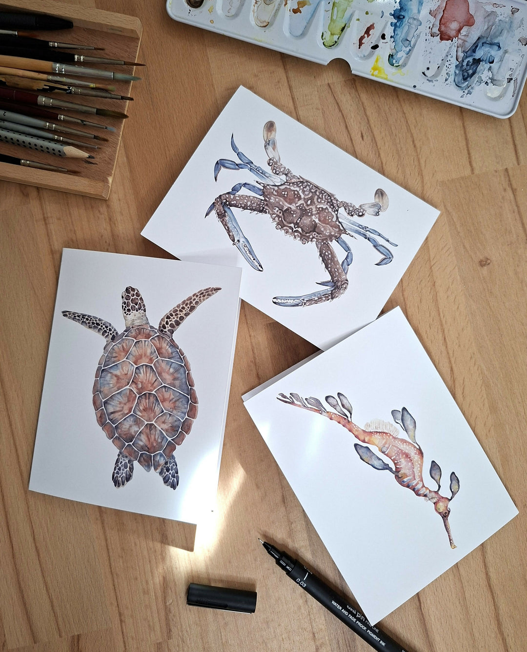 Ocean Greeting Card Pack | 3x