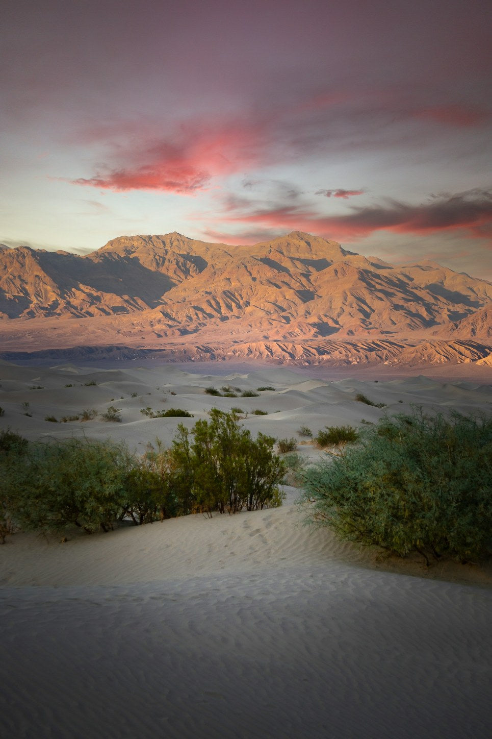 Desert Horizon Canvas Print
