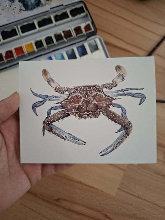 Ocean Greeting Card Pack | 3x
