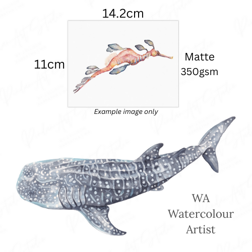 Whaleshark | Blank Greeting Card